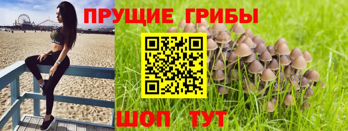 Добрянка  закладка  Вход с VPN  Псилоцибиновые грибы прущие грибы 