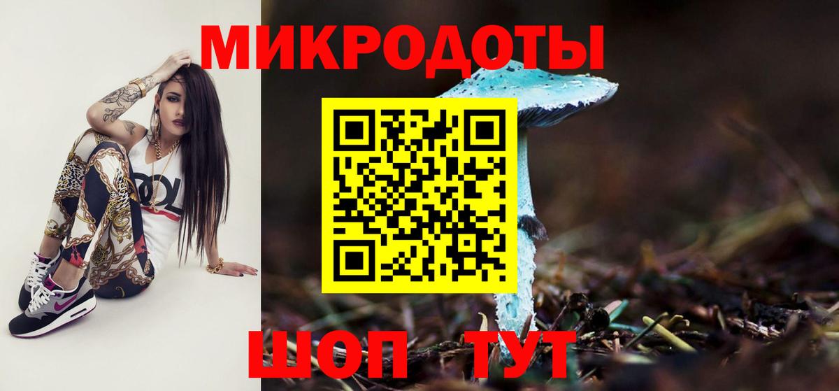 Галлюциногенные грибы Psilocybe Добрянка